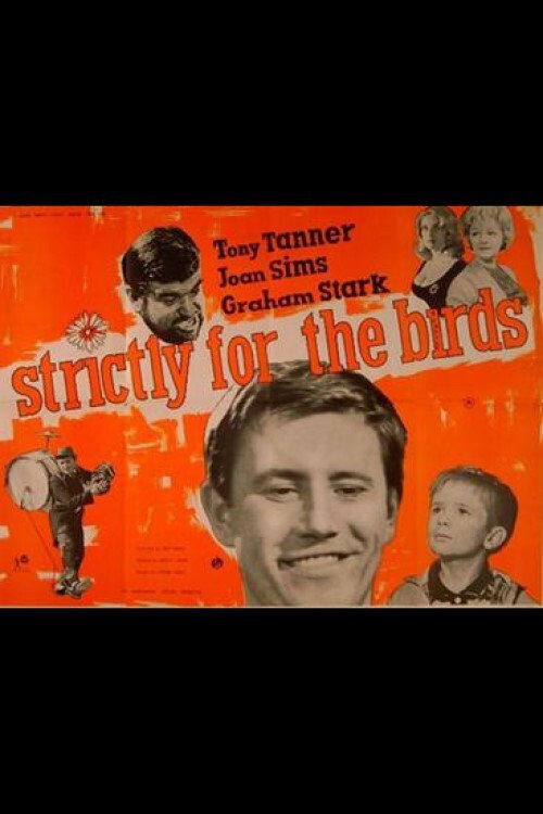 Movie poster for Strictly for the Birds (1964)