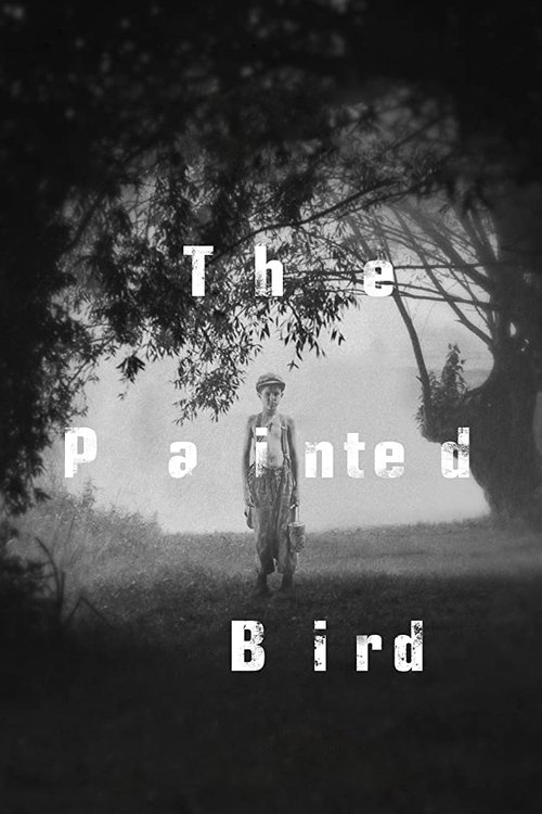 Movie poster for The Painted Bird (2019)