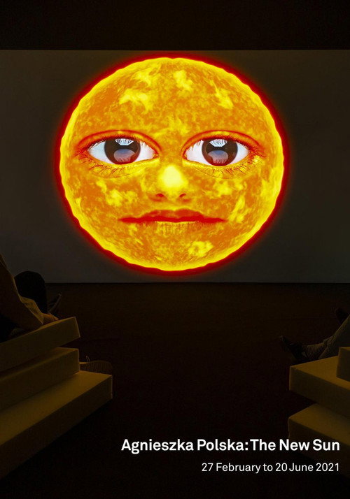 Movie poster for The New Sun (2017)