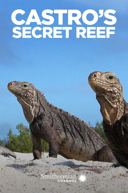 Movie poster for Castro's Secret Reef (2016)