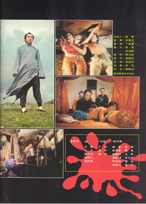 Movie poster for Blood Reincarnation (1974)