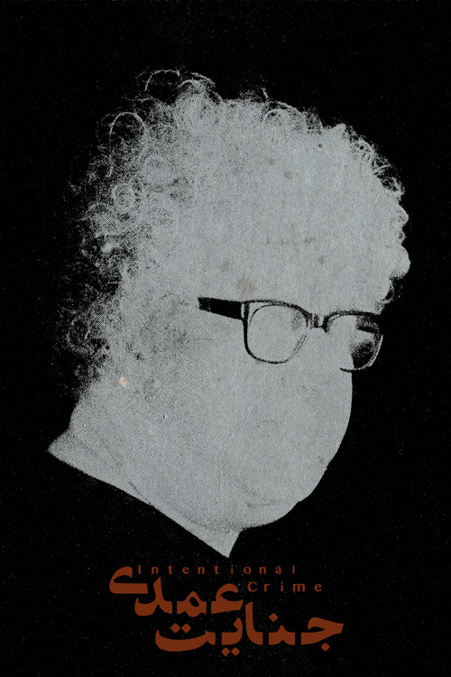 Movie poster for Intentional Crime (2022)