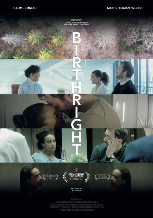 Movie poster for Birthright (2018)