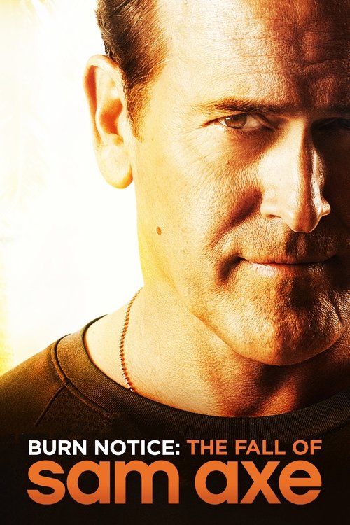 Movie poster for Burn Notice: The Fall of Sam Axe (2011)