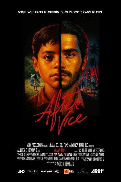 Movie poster for After Vice