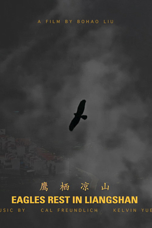 Movie poster for Eagles Rest in Liangshan (2021)