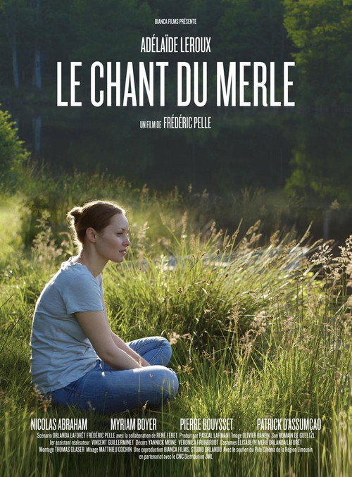 Movie poster for Song of the Blackbird (2016)