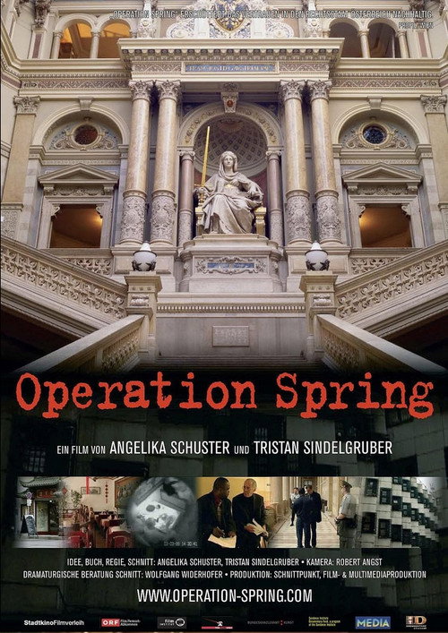 Movie poster for Operation Spring (2005)