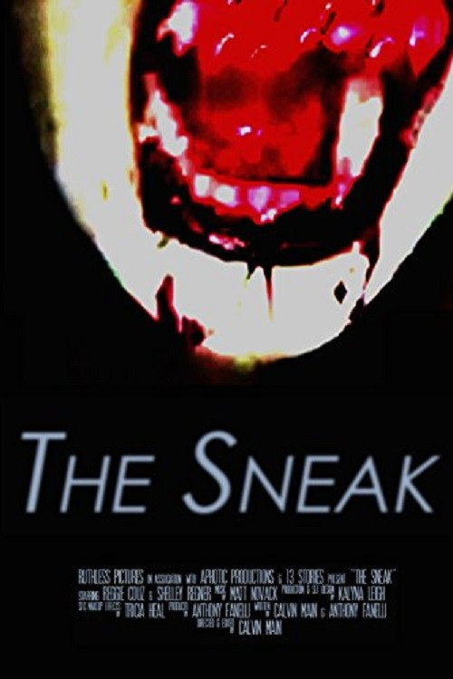Movie poster for The Sneak (2016)