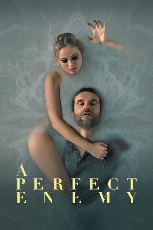 Movie poster for A Perfect Enemy (2021)