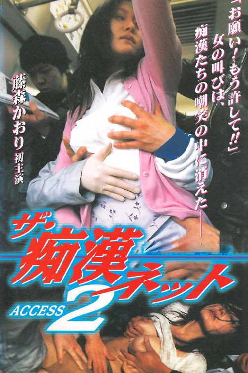 Movie poster for The Molester Net ACCESS 2 (1999)