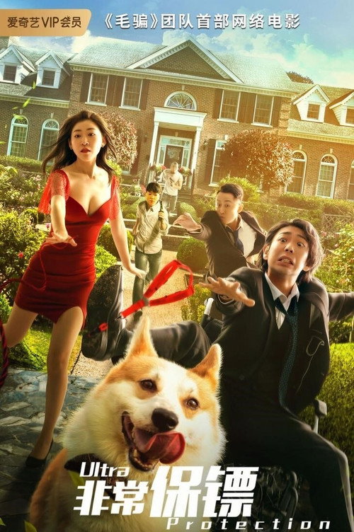 Movie poster for Ultra Protection (2021)