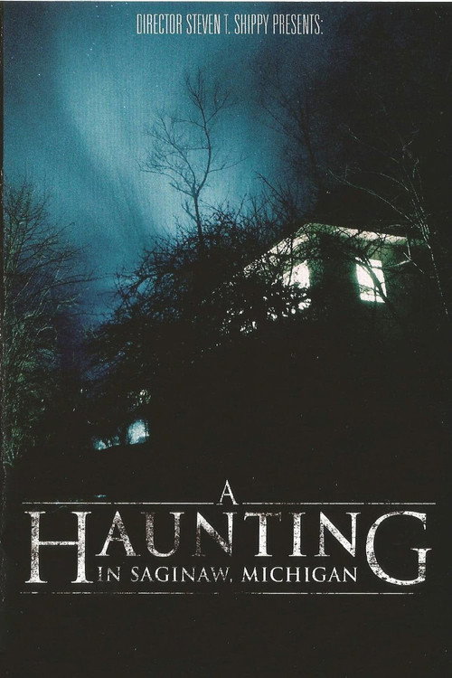 Movie poster for A Haunting in Saginaw, Michigan (2013)