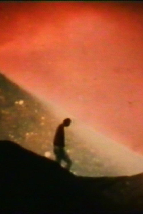 Movie poster for The Galactical North Pole lies in the Hair of Berenice (1990)