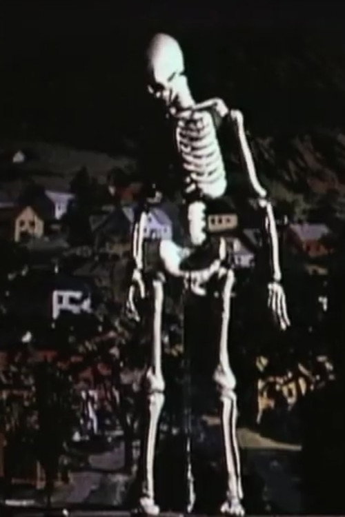 Movie poster for Taurus Test Footage (1965)
