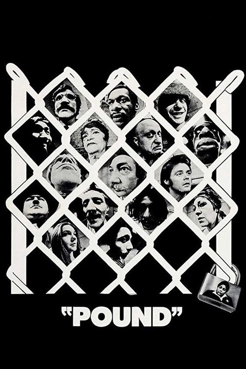 Movie poster for Pound (1970)