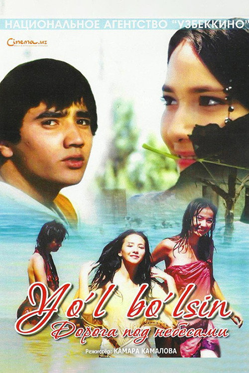 Movie poster for Road Under the Skies (2006)
