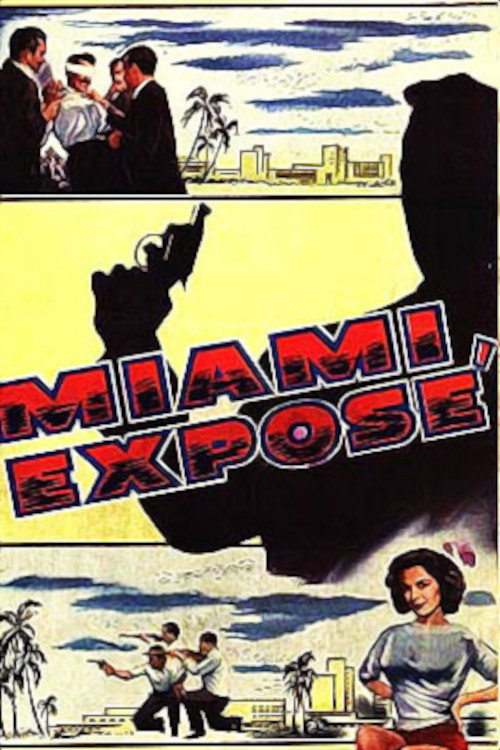 Movie poster for Miami Exposé (1956)