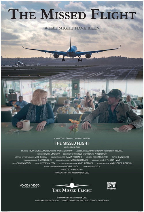 Movie poster for The Missed Flight