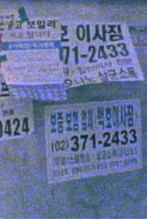 Movie poster for The Comma for Newtown (2009)