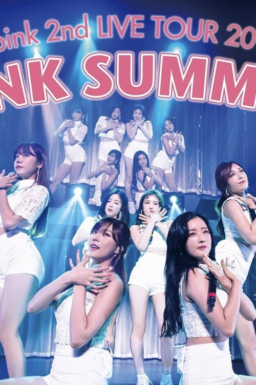 Movie poster for Apink 2nd LIVE TOUR 2016 -PINK SUMMER- (2016)