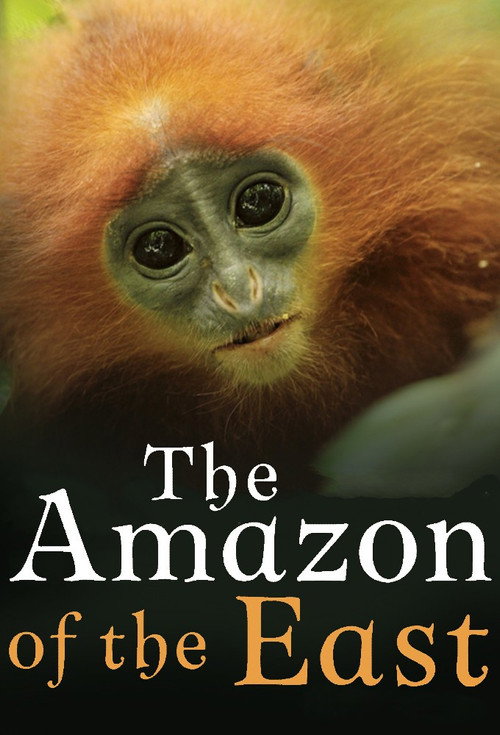 Series poster for The Amazon of the East (2017)