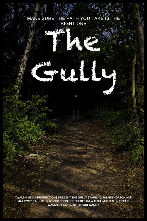Movie poster for The Gully (2024)