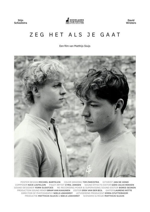Movie poster for Zeg het als je gaat (2025)
