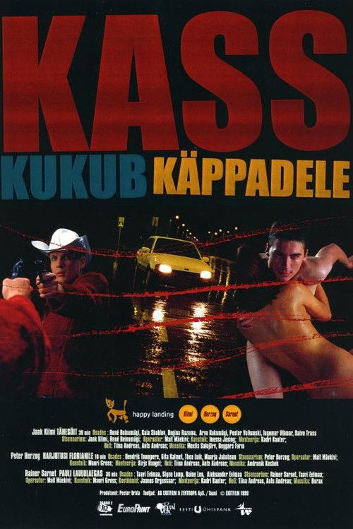 Movie poster for Happy Landing (1999)