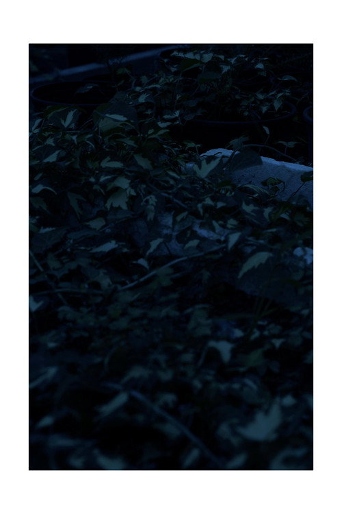 Movie poster for Erwartung (2015)