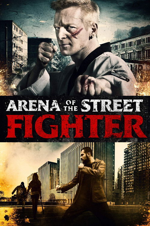 Movie poster for Arena of the Street Fighter (2012)