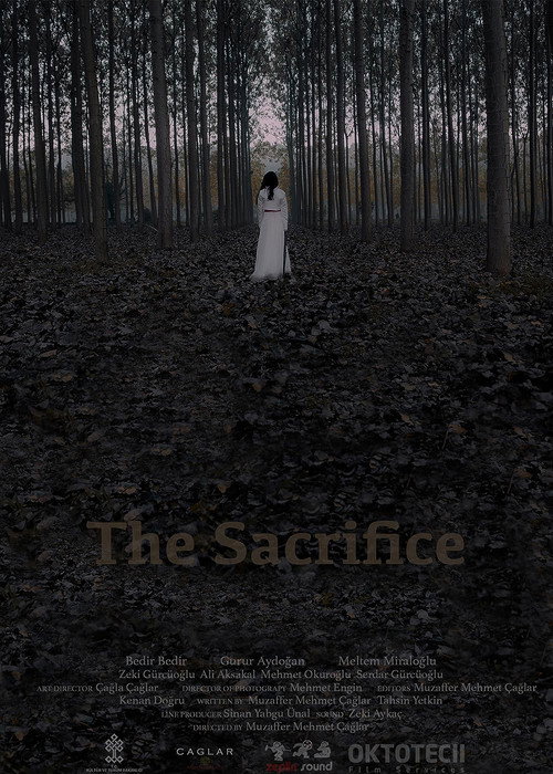 Movie poster for The Sacrifice (2017)