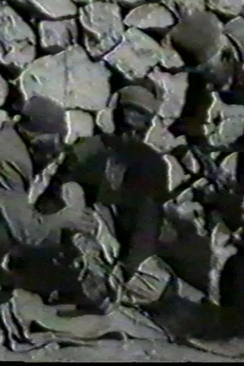 Movie poster for Acorn (1972)