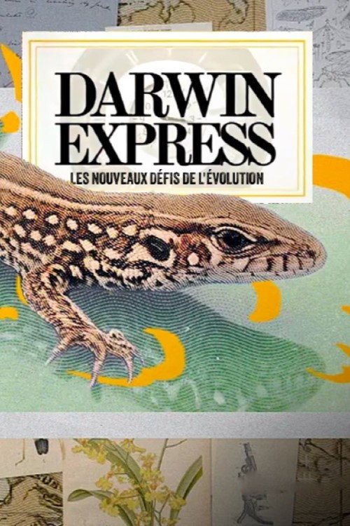 Movie poster for Darwin express - Les nouveaux défis de l'évolution (2025)