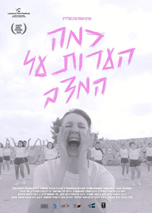 Movie poster for Some Notes on the Current Situation (2025)