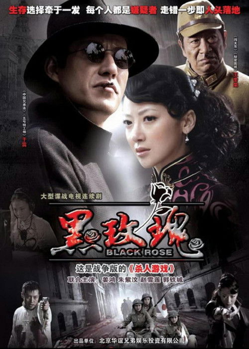 The Black Rose poster