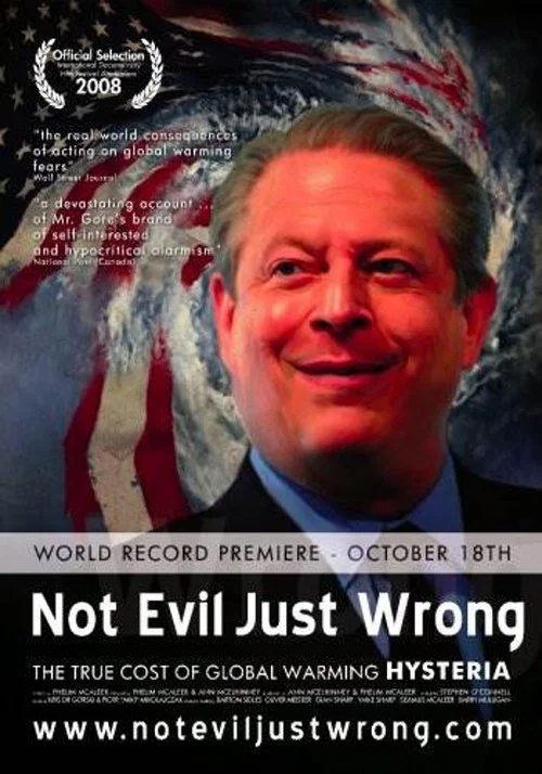 Movie poster for Not Evil Just Wrong (2009)