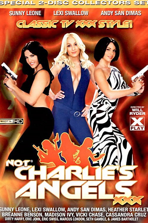 Movie poster for Not Charlie's Angels XXX (2010)