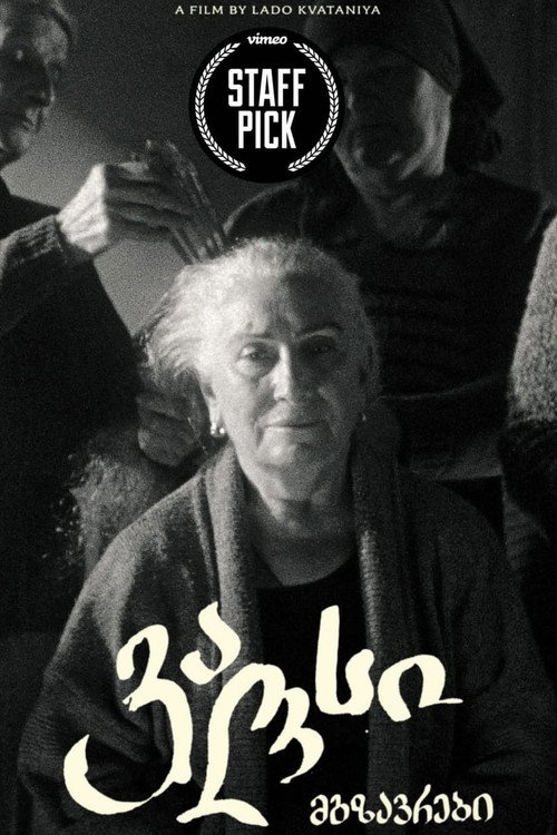 Movie poster for Mgzavrebi: Waltz (2023)