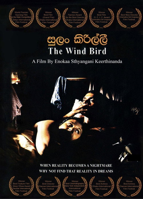 Movie poster for The Wind Birds (2003)