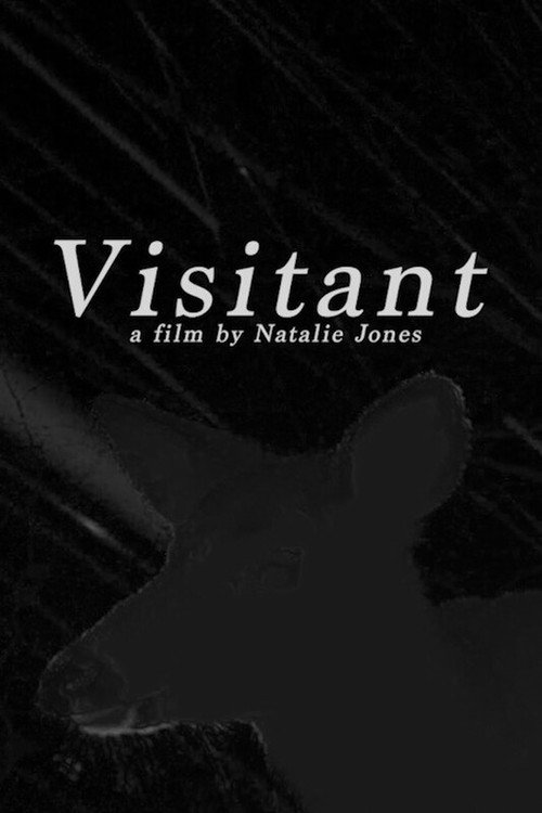 Movie poster for Visitant (2025)