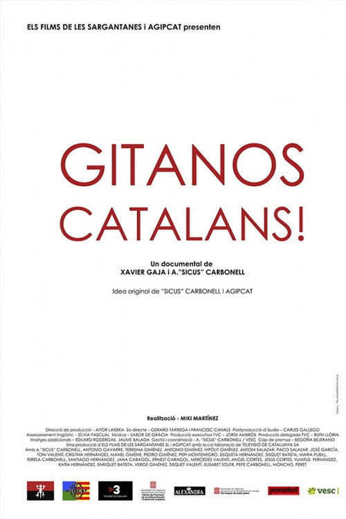 Movie poster for Gitanos catalans! (2011)