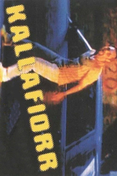 Movie poster for Kallafiorr (2000)