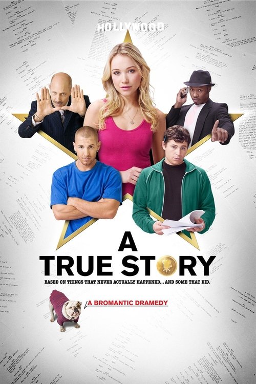 Movie poster for A True Story (2013)