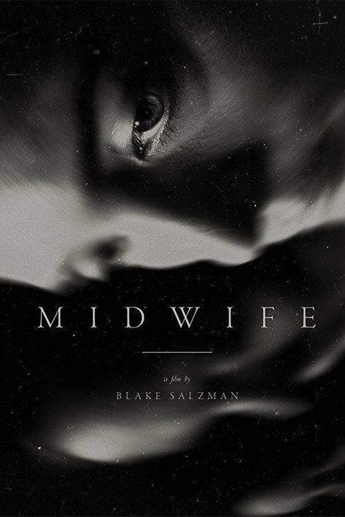 Movie poster for Midwife (2016)