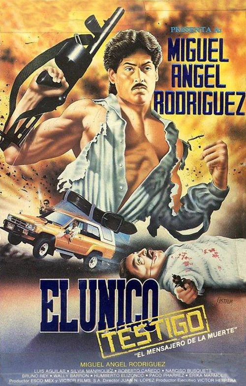 Movie poster for The Only Witness (1990)
