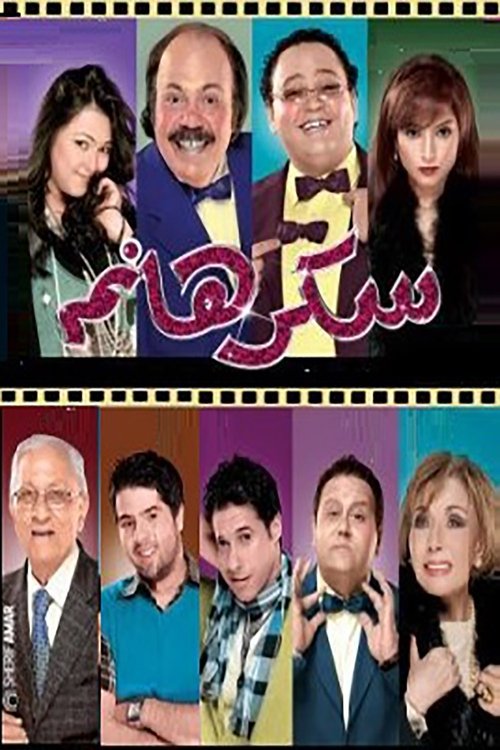 Movie poster for Lady Sukkar (2010)