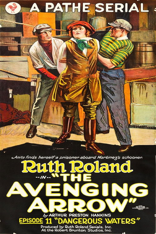 Movie poster for The Avenging Arrow (1921)