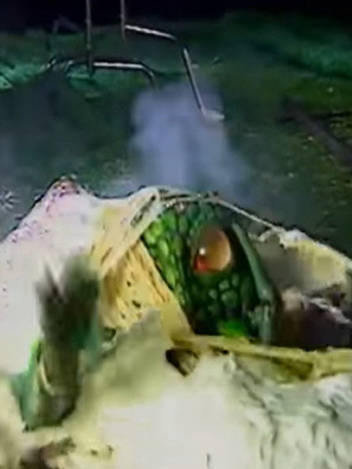 Movie poster for Videozone: The Making of Seedpeople (1992)