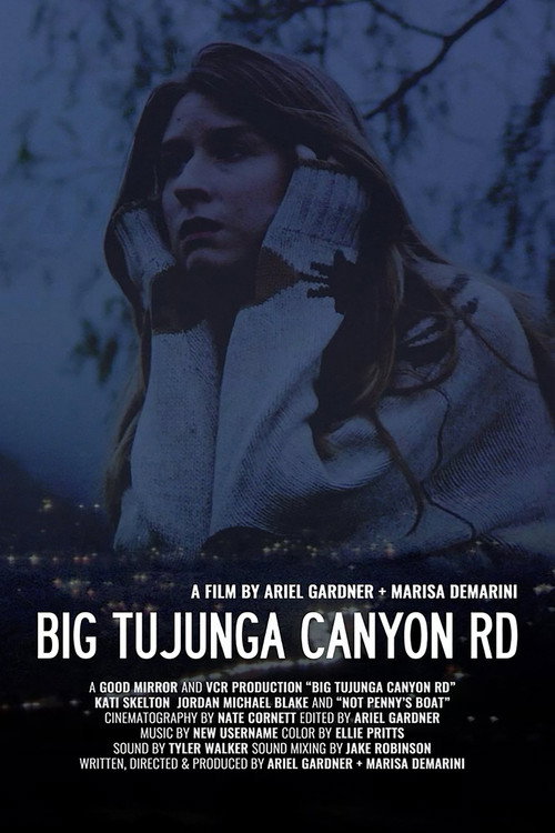 Movie poster for Big Tujunga Canyon Rd (2024)
